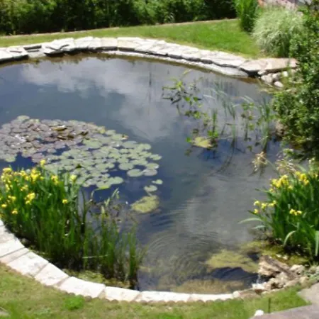 Country house De Charme Pour 2 Pers., Terrasse, Foret A Proximite, Confort, - Fr-1-589-209