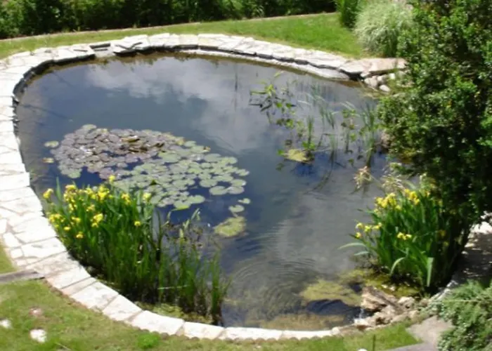 Prázdninový dům De Charme Pour 2 Pers., Terrasse, Foret A Proximite, Confort, - Fr-1-589-209