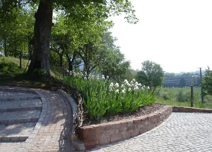 De Charme Pour 2 Pers., Terrasse, Foret A Proximite, Confort, - Fr-1-589-209